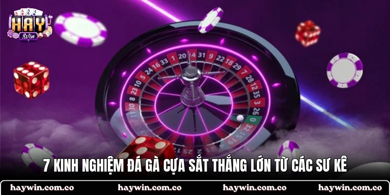 Đá gà cựa sắt