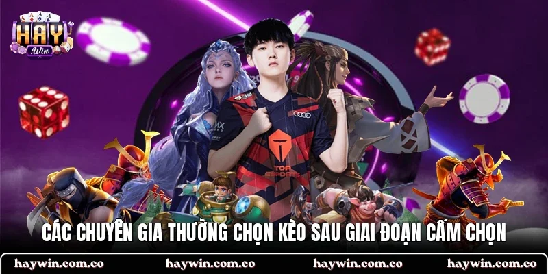 Các chuyên gia thường chọn kèo sau giai đoạn cấm chọn