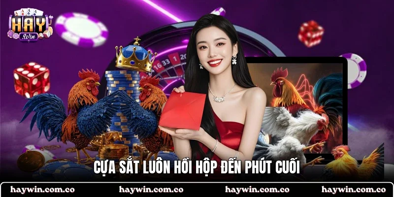 Cựa sắt luôn hồi hộp đến phút cuối