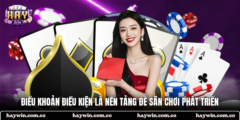 Điều khoản điều kiện là nền tảng để sân chơi phát triển
