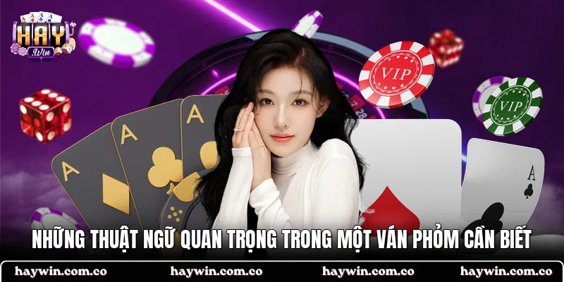 Những thuật ngữ quan trọng trong một ván phỏm cần biết