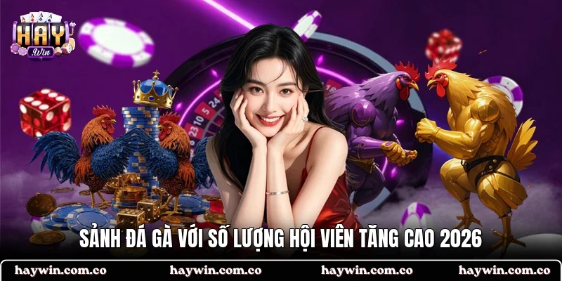 Sảnh đá gà với số lượng hội viên tăng cao 2026