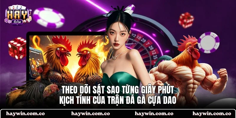 Theo dõi sát sao từng giây phút kịch tính của trận đá gà cựa dao