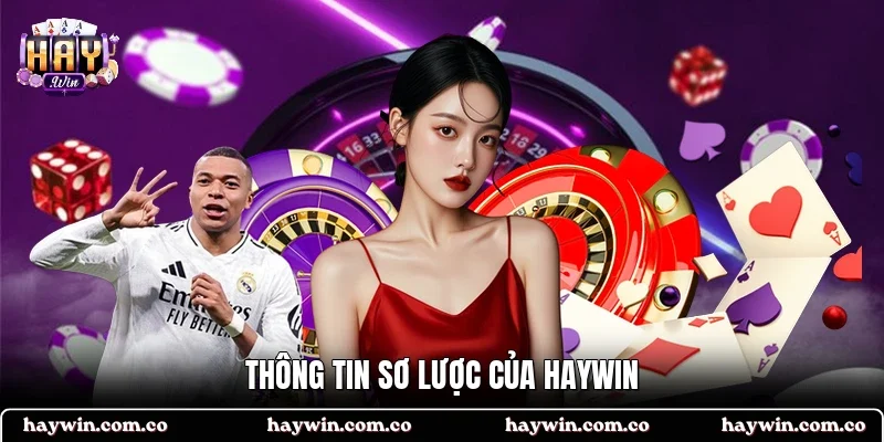 Thông tin sơ lược của HAYWIN